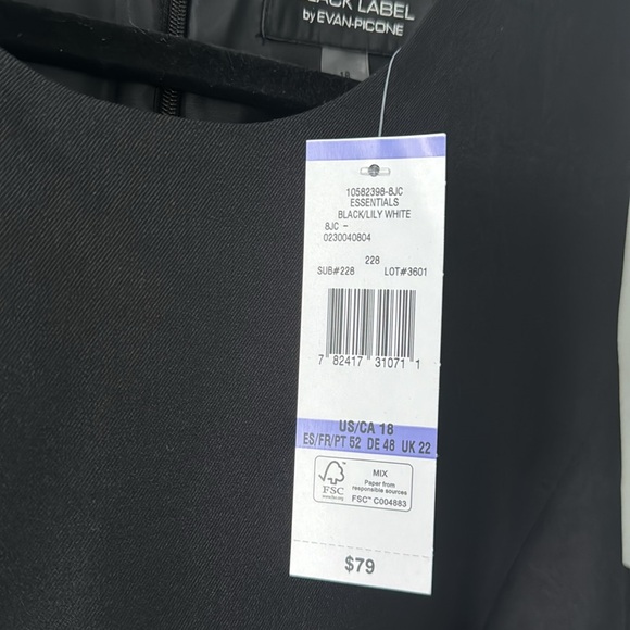 Black Label by Evan-Picone Lined Sleeveless Dress - Picture 6 of 6